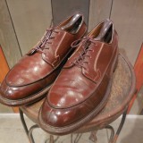 PEDWIN Leather Shoes